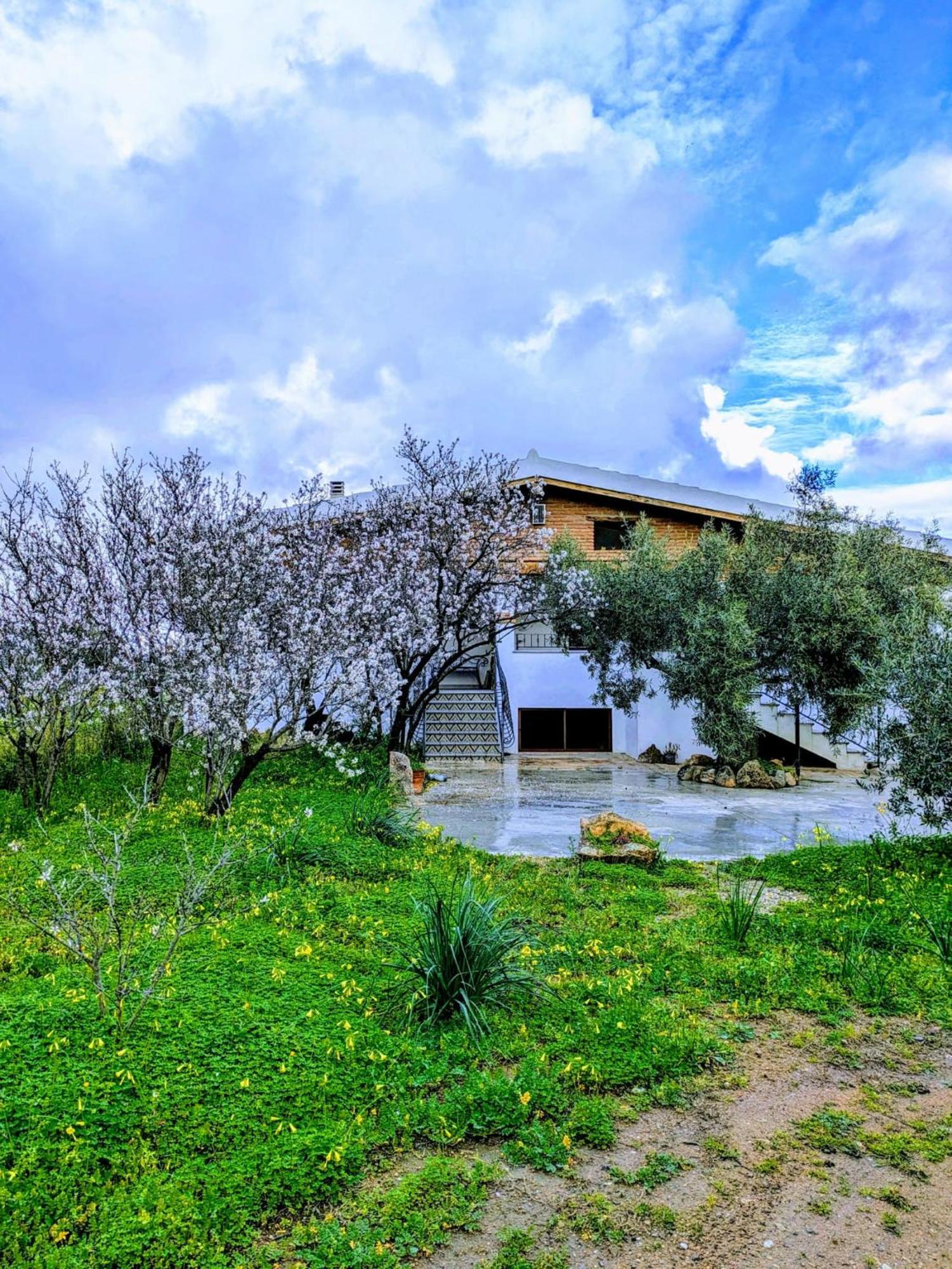Agriturismo "Pirastreri" Siniscola Zewnętrze zdjęcie