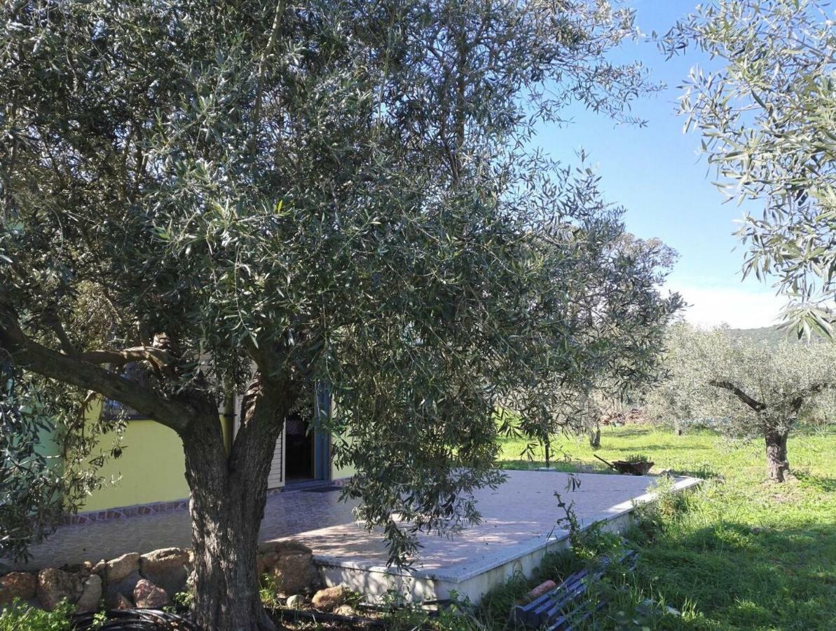 Agriturismo "Pirastreri" Siniscola Zewnętrze zdjęcie